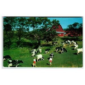 Vintage Farm Postcard, Children Bringing Cows, Red Barn, Dexter Beauty Scene